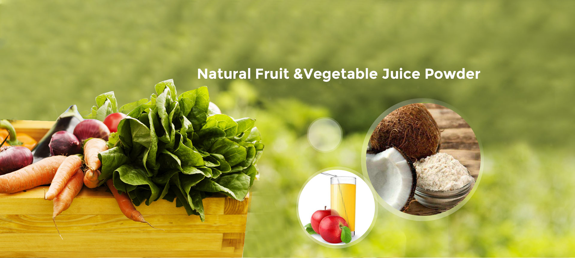 Nature Extract, Raw Material, Vitamin, Protein, Phospholipids etc.