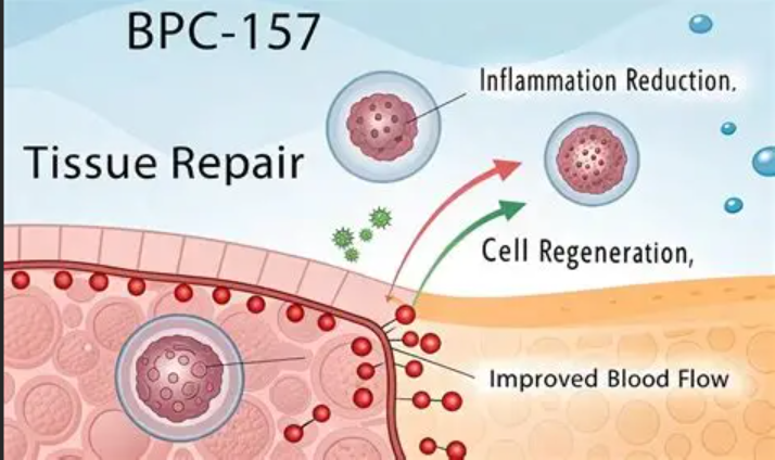 1773978381881.jpg 1773978381881.jpg