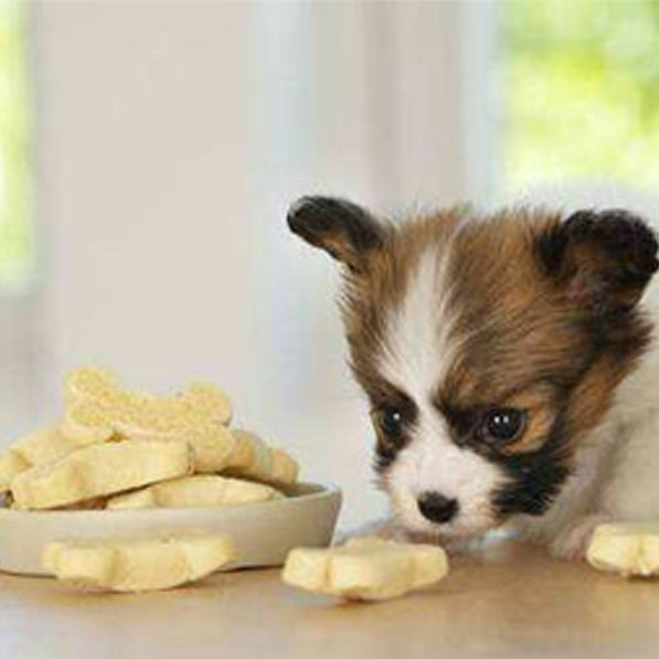 Natural Feed Ingredients