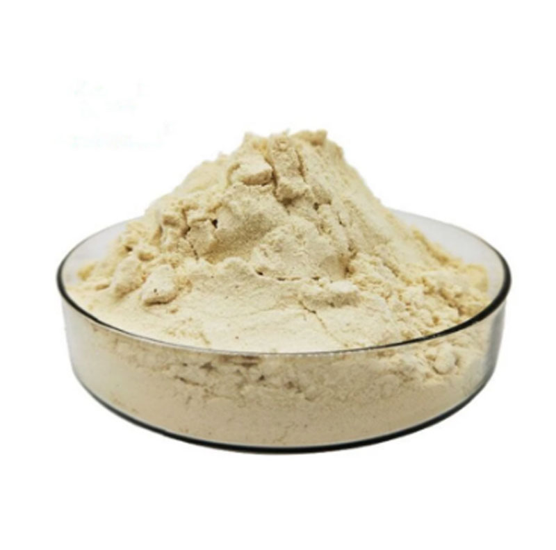 Ginseng Extract ginsenosides 80%