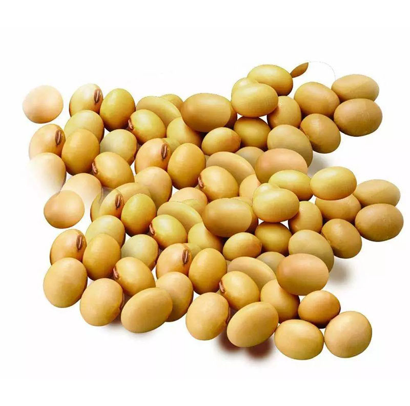 Soybean Extract Phosphatidylserine PS 20%-70%