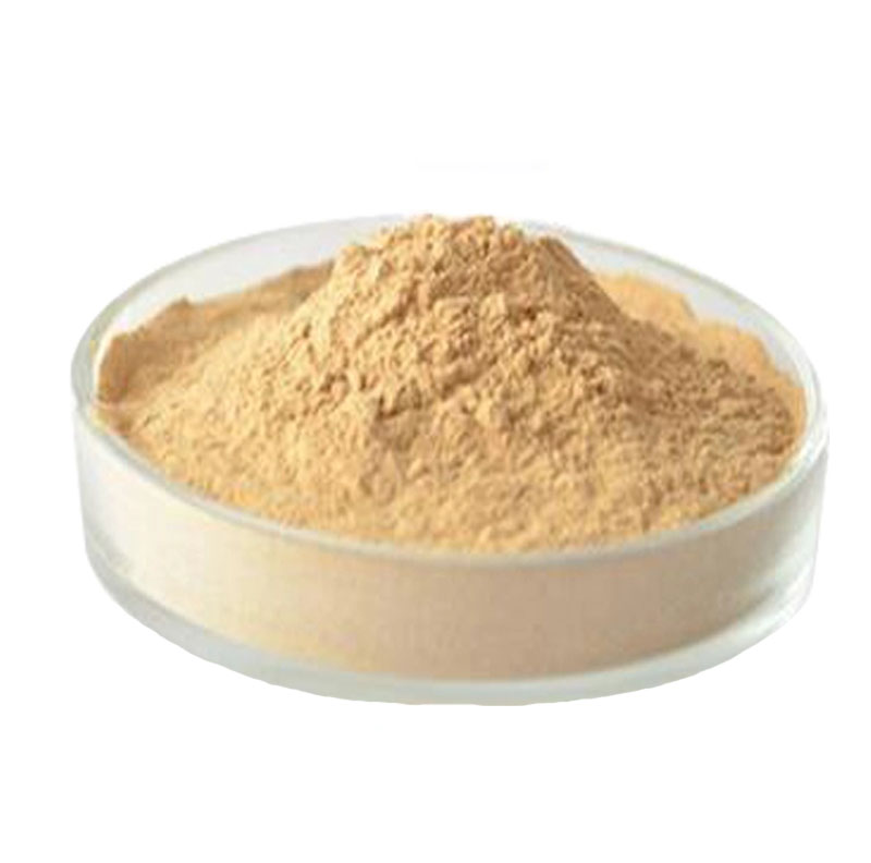 Soybean Extract Phosphatidylserine PS 20%-70%