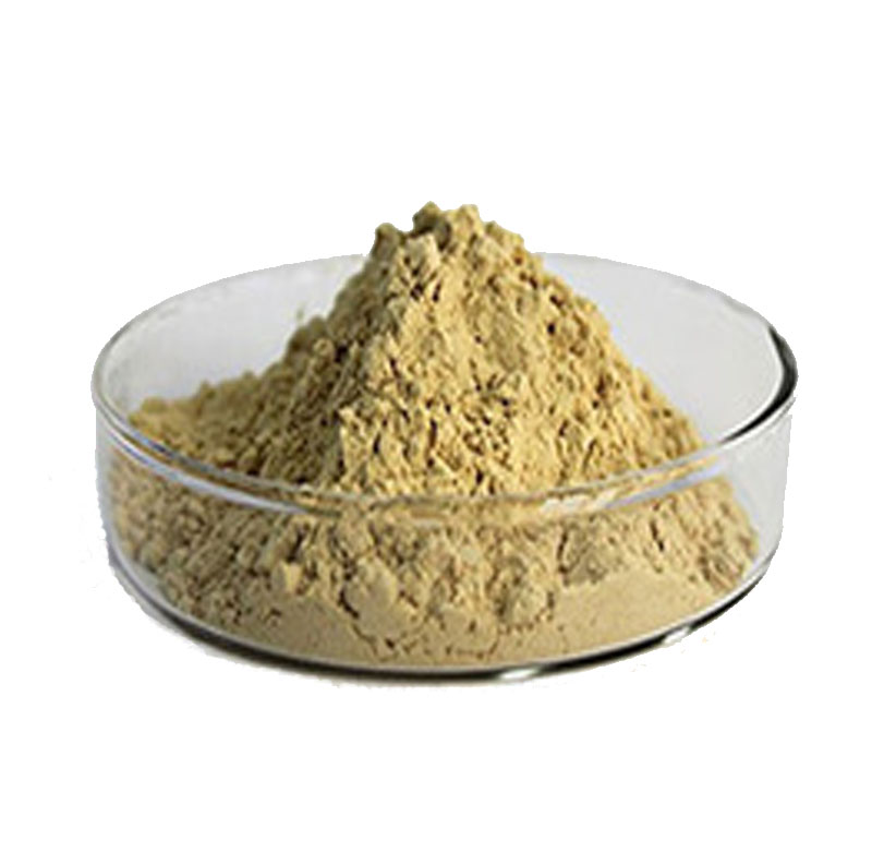 Tongkat Ali Root Extract 4:1-200:1 Eurycomanone