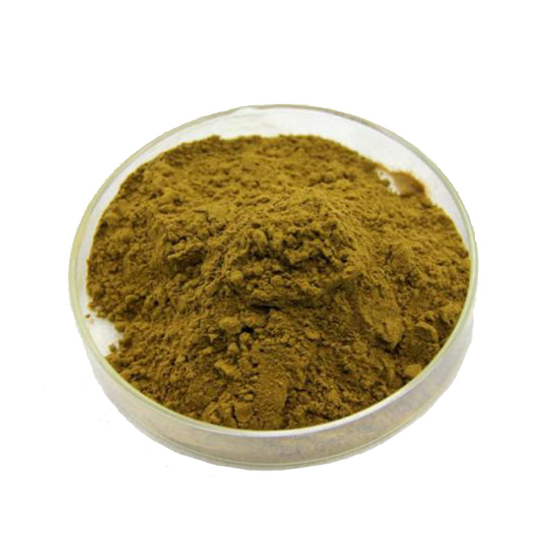 Senna Leaf Extract Sennosides Sennoside A+B 2.5%-20%