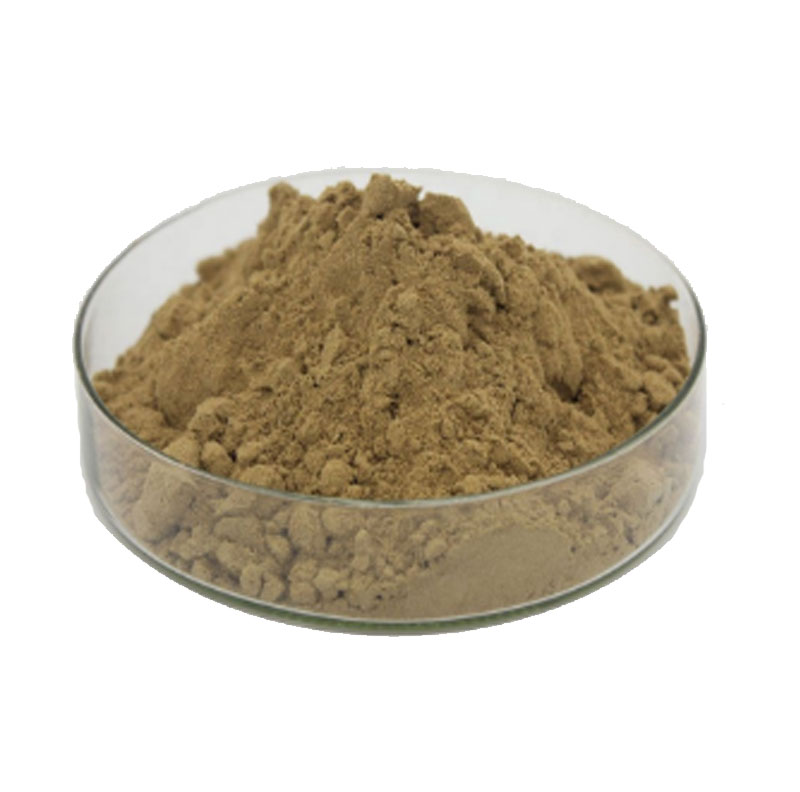 Olive Leaf Extract Oleuropein Powder 10%-80%;