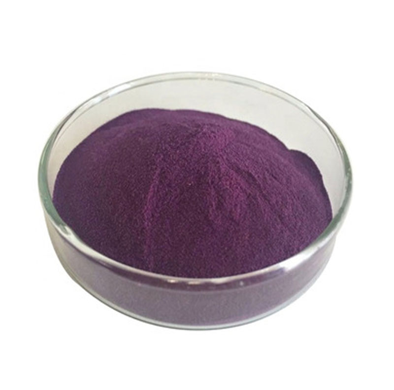 Black currant Extract 10:1 Anthocyanin