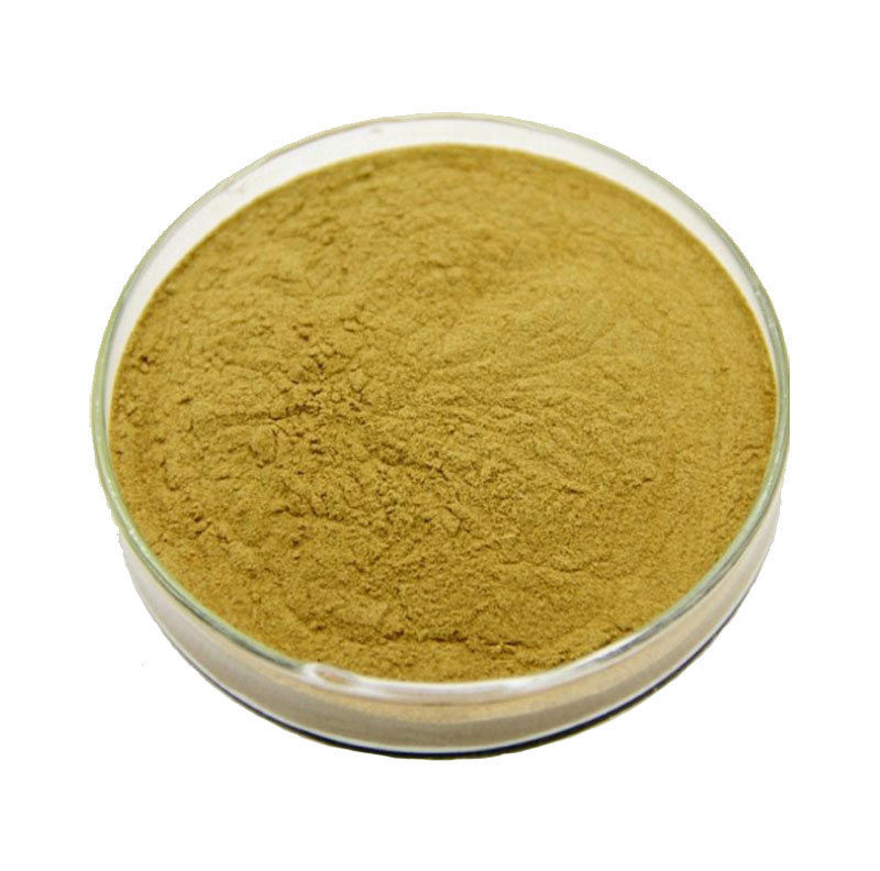Gotu Kola Extract Asiaticoside
