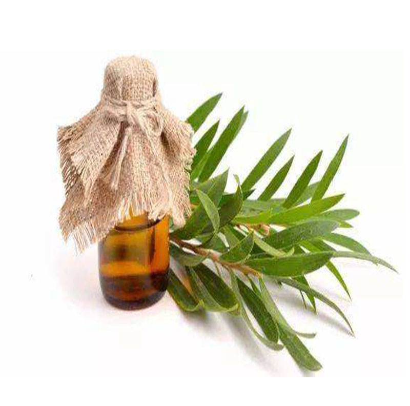 100% NatureTea Tree Oil