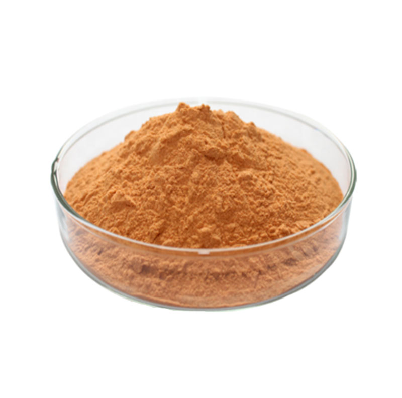 Luo Han Guo Extract Mogrosides 80%