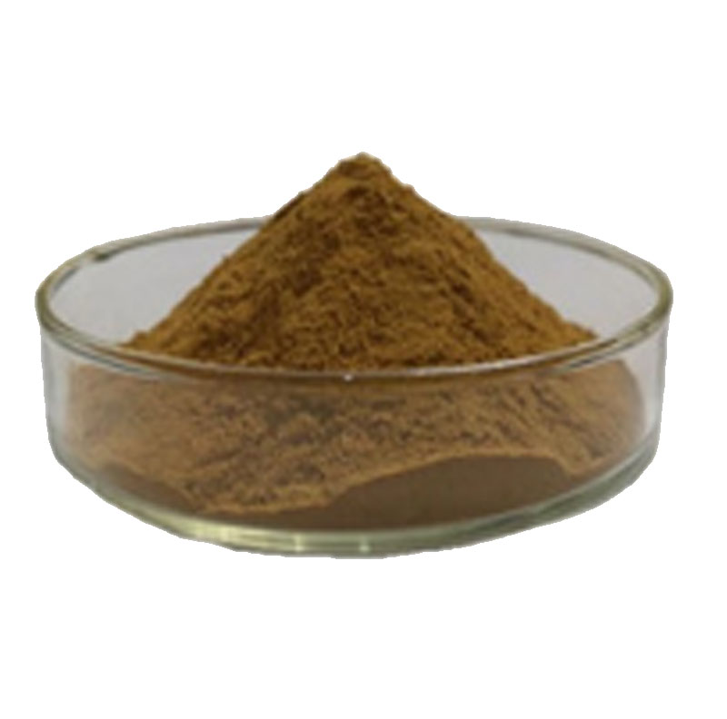 Maca Extract 50:1