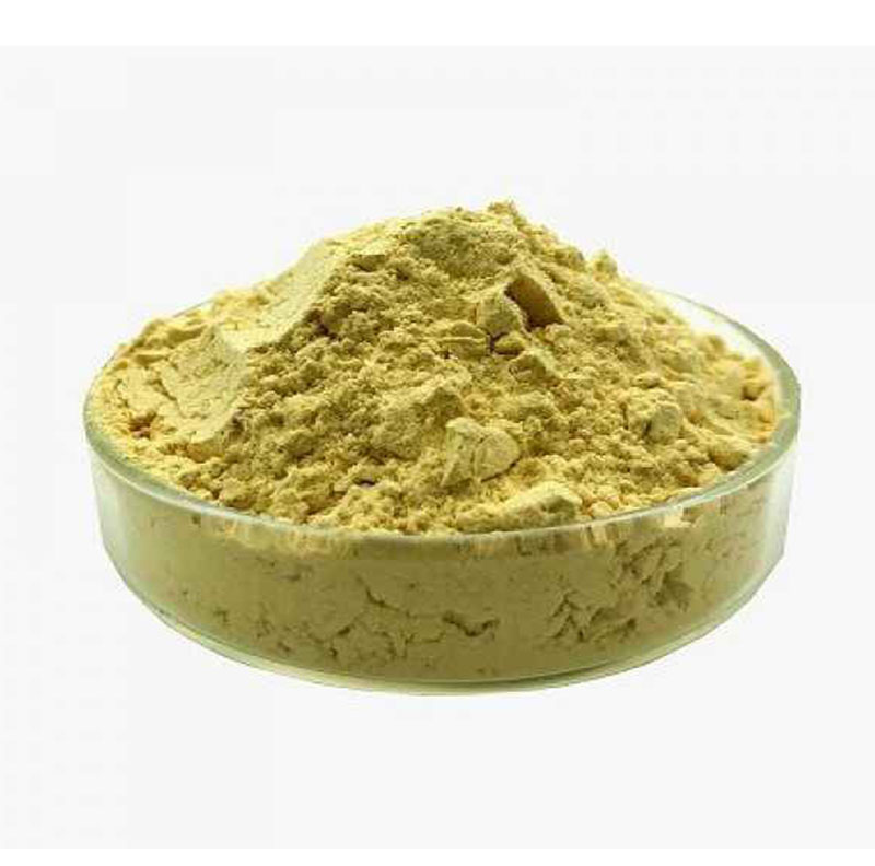 Ginger Extract Gingerol 5%