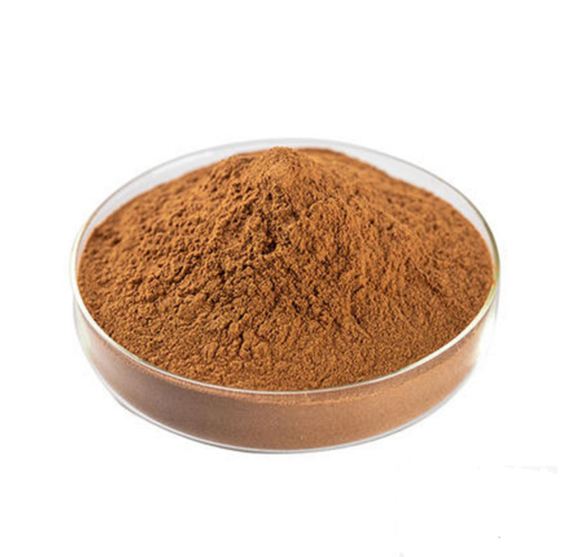 Flax Seed Extract Secoisolariciresinol Diglucoside SDG 10% 98%