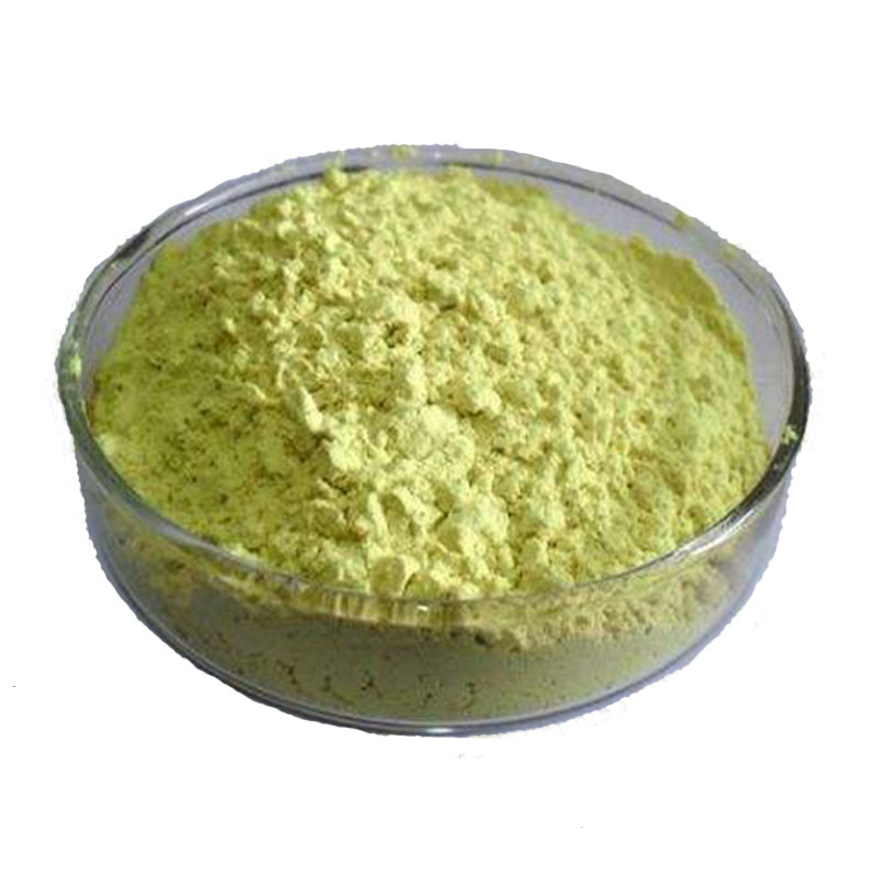 Sophora Japonica extract Rutin NF11