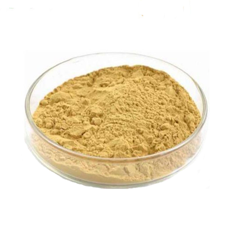 Cordyceps sinensis Powder