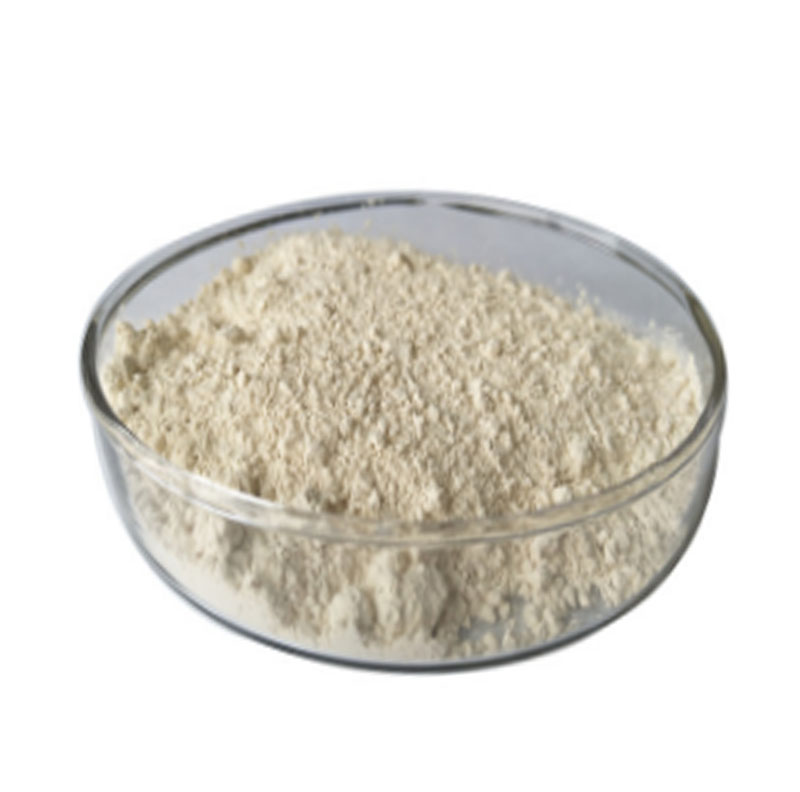 Rice Protein Powder 50%-85%