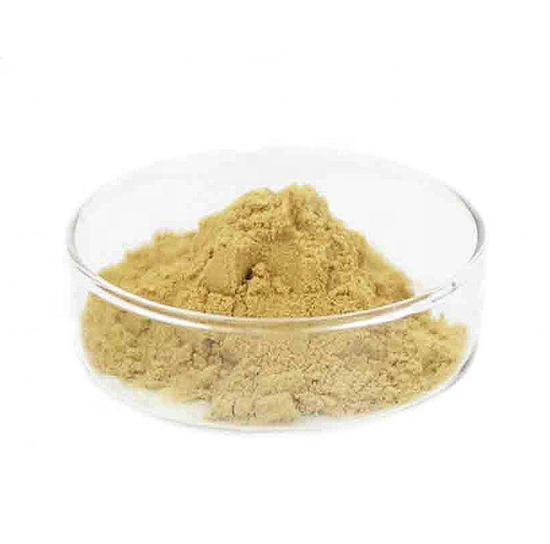 Soya Lecithin