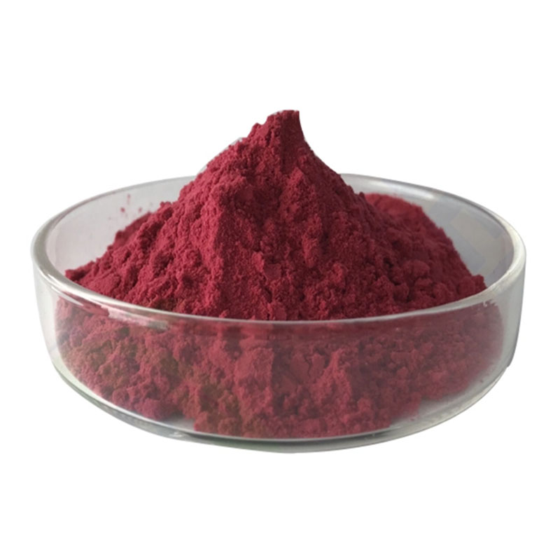 Black Elderberry extract Anthocyanidins 25% UV 5:1 4:1