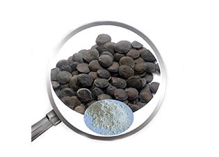 5-HTP 5-HTP