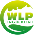 WLP INGREDIENT INC